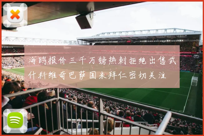 海鸥报价三千万镑热刺拒绝出售武什科维奇巴萨国米拜仁密切关注