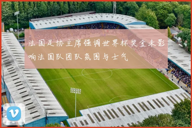 法国足协主席强调世界杯奖金未影响法国队团队氛围与士气
